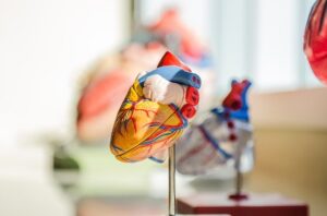 Quais são as valvas cardiacas?